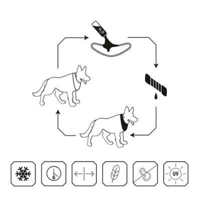 Image showing  US Army Dog Cooling Bandana