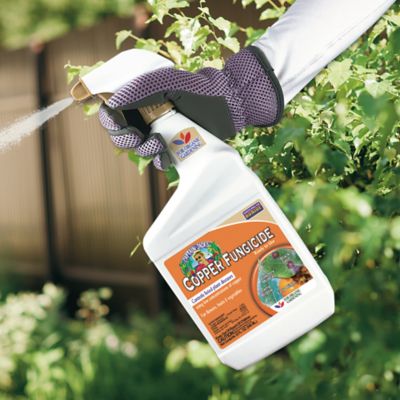 Image showing  32 oz. Captain Jack's Copper Fungicide, Ready-to-Use Spray for Organic Gardening, Controls Common Diseases
