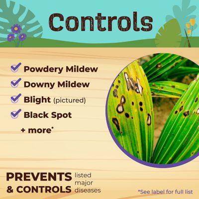 Image showing  32 oz. Captain Jack's Copper Fungicide, Ready-to-Use Spray for Organic Gardening, Controls Common Diseases