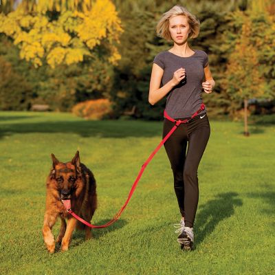 Image showing  Adjustable Polymer Dog Lead