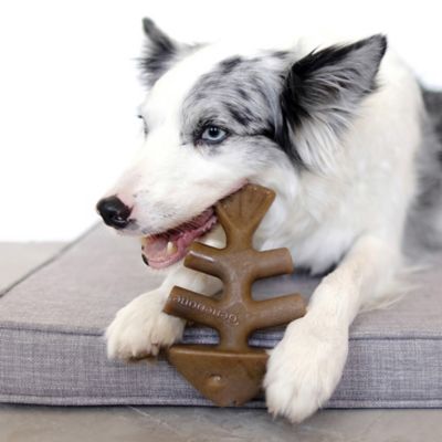 Image showing  Medium Fishbone Dog Chew Toy for Aggressive Chewers
