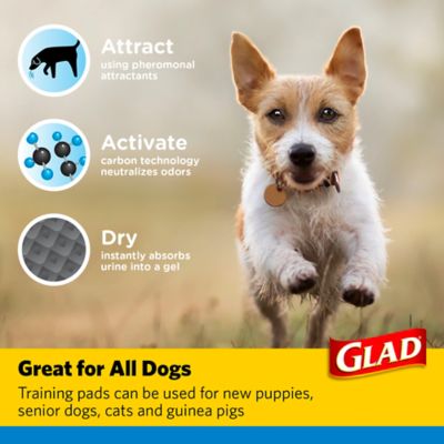 Image showing 5 th Glad Carbon Fiber Dog Training Pads, 150 ct.