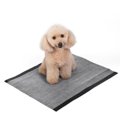 Image showing  for Pets Activated Carbon Dog Training Pads, 14 ct.