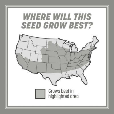 Image showing  Central Contractors MX pc. 24/20LB