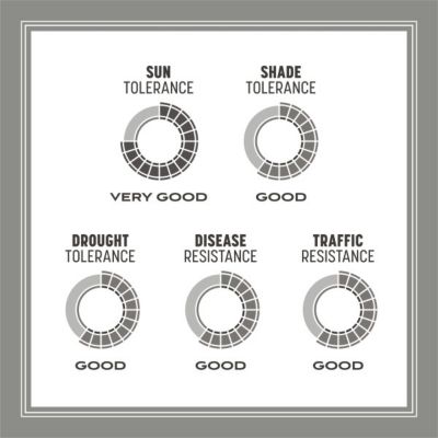 Image showing 7 th Pennington Central Contractors MX pc. 24/20 lb.