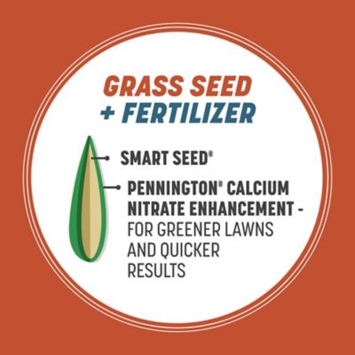 Image showing  8.75 lb. 5,000 sq. ft. Smart Seed Bermuda Mix Combination Seed and Fertilizer