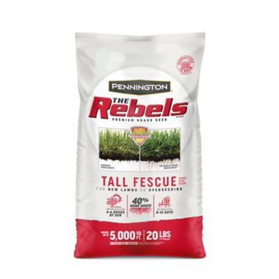 Pennington 20 lb. 5,000 sq. ft. Penn the Rebels Tall Fescue Grass Seed Blend