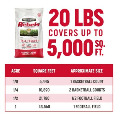 Image showing 7 th Pennington 20 lb. 5,000 sq. ft. Penn the Rebels Tall Fescue Grass Seed Blend