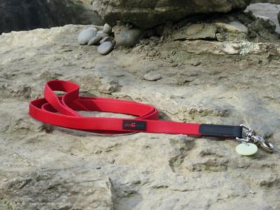 Image showing  Polymer Dog Lead, 3/4 in.