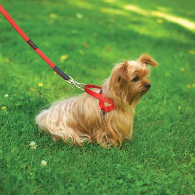 Image showing  Polymer Dog Lead, 3/4 in.