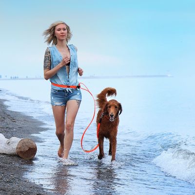 Image showing  Polymer Dog Lead, 5/8 in.