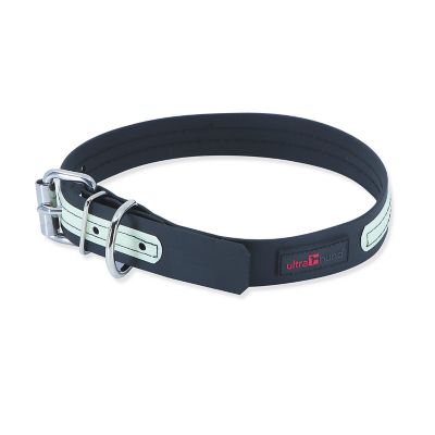 Ultrahund Buckle Dog Glow Collar, 1 in. x 18 in.