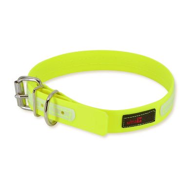 Ultrahund Buckle Glow Dog Collar, 1 in. x 20 in.