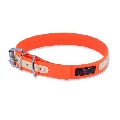 Ultrahund Buckle Glow Dog Collar, 3/4 in. x 10 in.