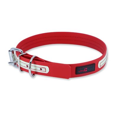 Ultrahund Buckle Glow Dog Collar, 3/4 in. x 12 in.
