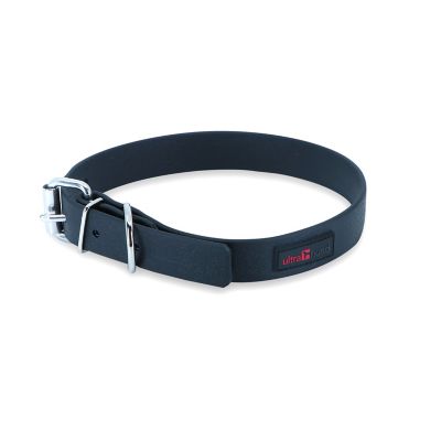 Ultrahund Buckle Dog Collar, 1 in. x 18 in.