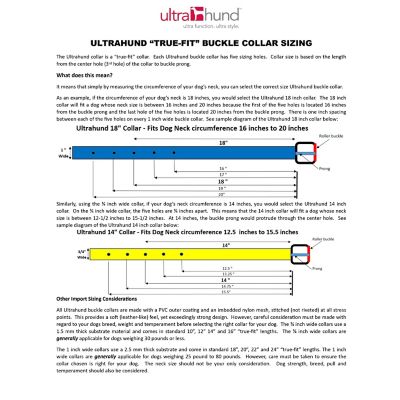 Image showing 5 th Ultrahund Buckle Dog Collar, 1 in. x 18 in.