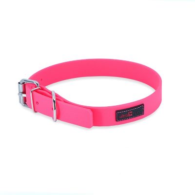 Ultrahund Buckle Dog Collar, 1 in. x 18 in.