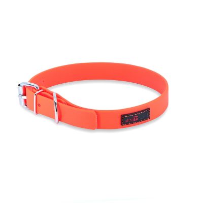 Ultrahund Buckle Dog Collar, 1 in. x 20 in.