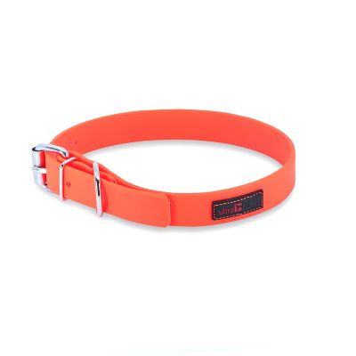 Ultrahund Buckle Dog Collar, 3/4 in. x 10 in.