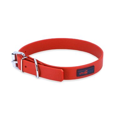 Ultrahund Buckle Dog Collar, 3/4 in. x 10 in.