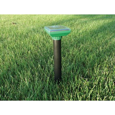 Image showing  Sol-Mate Mole Repeller, Black/Green