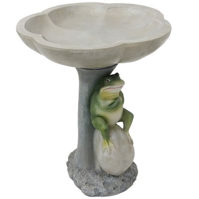 Sunnydaze Decor Brooding Frog on Stone Bird Bath, WNC-796