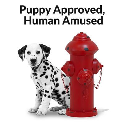 Image showing 6 th Sunnydaze Decor Fire Hydrant Dog Pee Post Metal Garden Statue