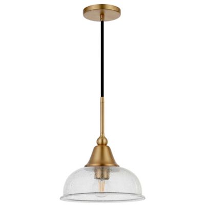 Image showing 6 th Hudson&Canal 1-Light Magnolia Seeded Glass Pendant Light, Brass