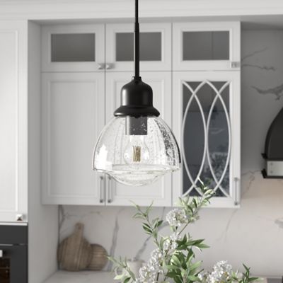 Hudson&Canal 1-Light Brooks Glass Globe Pendant Light, Blackened Bronze