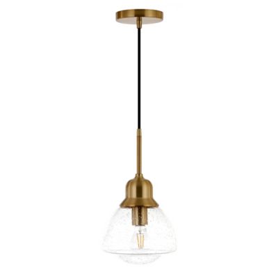 Hudson&Canal 1-Light Brooks Glass Globe Pendant Light, Brass