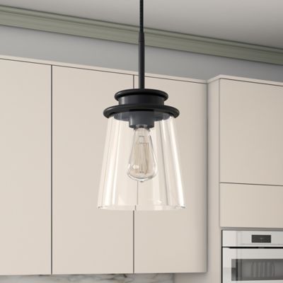 Hudson&Canal Elwood Clear Glass Pendant Light, Blackened Bronze