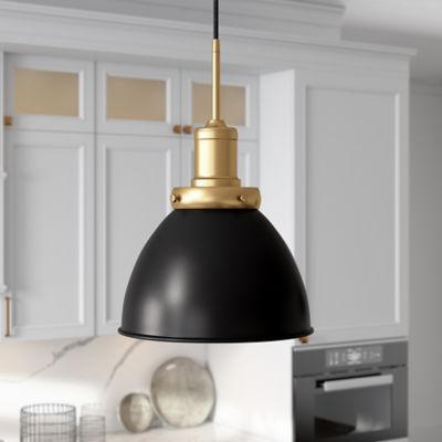 Hudson&Canal 1-Light Madison Metal Pendant Light, Black/Brass
