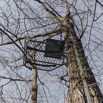 Image showing 5 th Summit Ledge XT Steel Hang-On Tree Stand