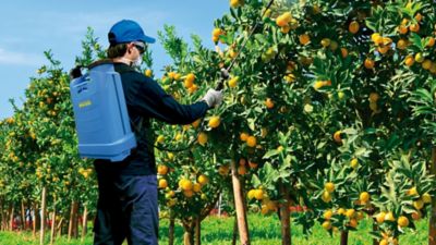 Image showing 6 th Matabi 4 gal. Blue Tank Backpack Sprayer, 9 lb.
