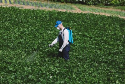 Image showing  5 gal. Blue Tank Backpack Sprayer, 10 lb.