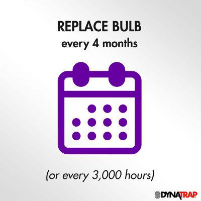 Image showing  7 Watt UV Replacement Insect Trap Bulb