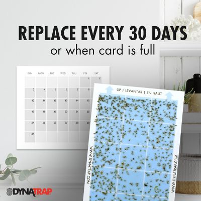 Image showing  StickyTech Glue Cards Replacement for Flylight Insect Traps, 6-Pack