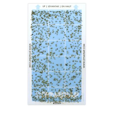 Image showing 6 th Dynatrap StickyTech Glue Cards Replacement for Flylight Insect Traps, 6-Pack