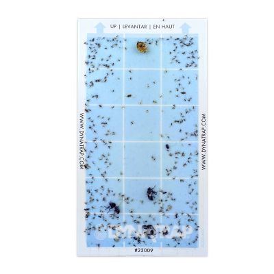 Image showing 7 th Dynatrap StickyTech Glue Cards Replacement for Flylight Insect Traps, 6-Pack