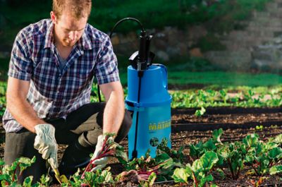 Image showing  Berry 7 1 gal Compression Sprayer 2.27 lb net