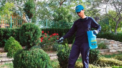 Image showing  Berry 7 1 gal Compression Sprayer 2.27 lb net