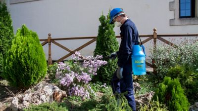 Image showing 5 th Matabi Berry 7 1 gal Compression Sprayer 2.27 lb net