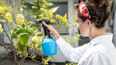 Image showing  35 oz. Blue Tank Electric Sprayer, 6 lb., Battery