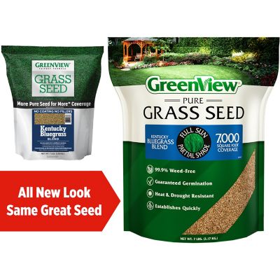 Image showing  Pure Grass Seed Kentucky Bluegrass Blend, 7 lb. Bag - Covers up to 7,000 sq. ft.