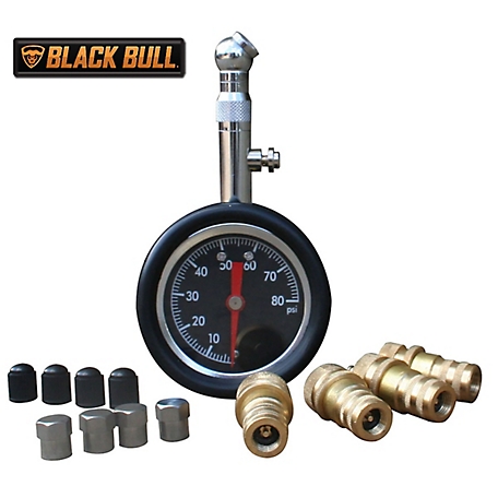 Black Bull 13 pc. Tire Deflators Set with 2 in. Tire Pressure Gauge, TPGDSET