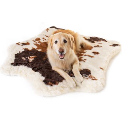 Paw Brands PupRug Animal Print Memory Foam Dog Bed