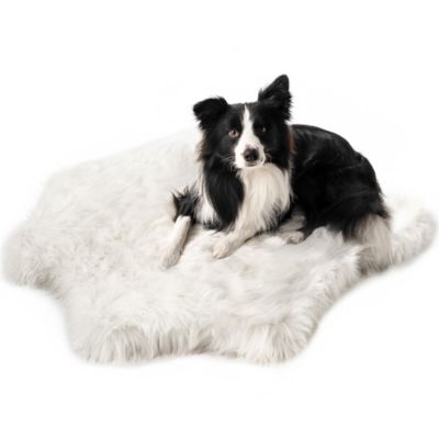 Paw Brands PupRug Animal Print Memory Foam Dog Bed - Black Faux Cowhide
