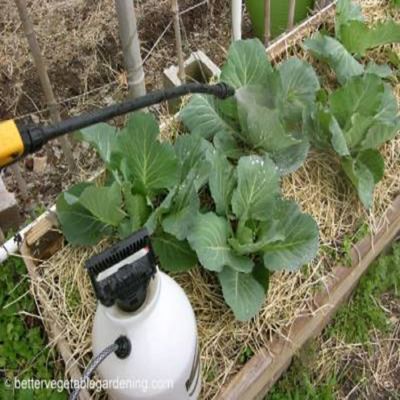 Image showing  16 oz. 1.3 Acres Worm Casting Concentrate