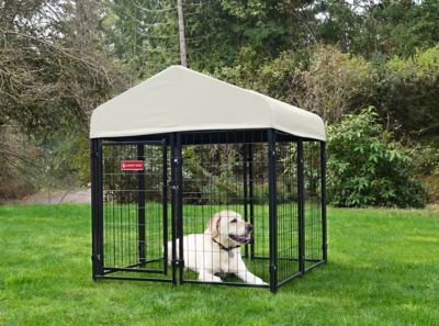 Lucky Dog 52 in. x 4 ft. x 4 ft. STAY Series Studio Jr. Dog Kennel, Khaki Cover